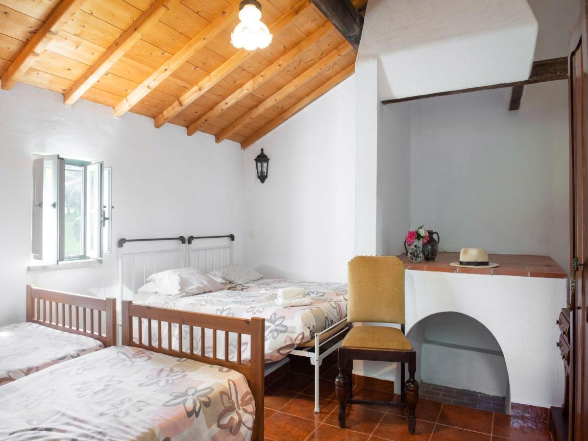 House With Authentic Tiling And Antique Furniture Villa Montemor-o-Novo Dış mekan fotoğraf